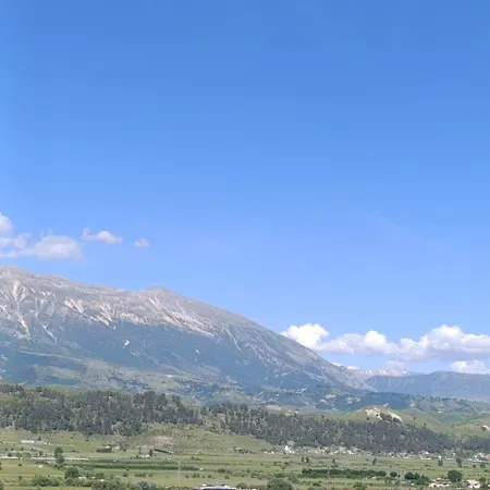 Zota